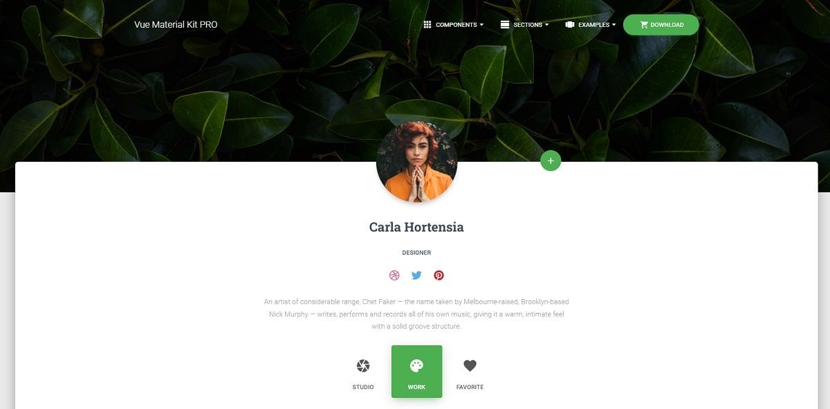 Vue Material Kit PRO (Premium Starter) - Profile Page