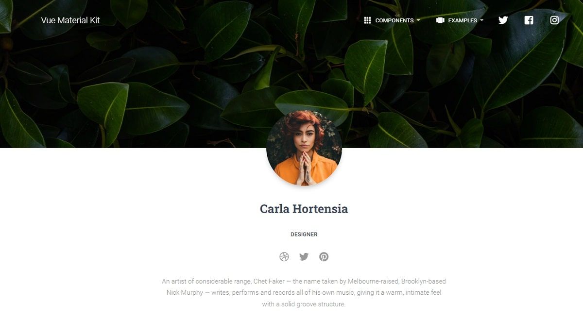 Vue Material Kit (Open-Source) - Profile Page